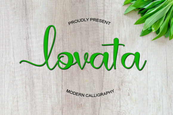 Discover the Elegance of Lovata in Editorial Design