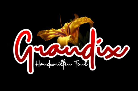 Grandix: A Handwritten Font for Modern Web Design