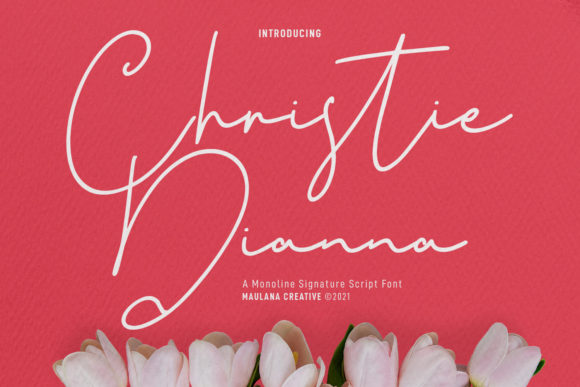 How Christie Dianna Transformed My Brand's Visual Identity