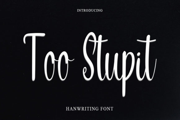 Too Stupit: A Playful Font for Handmade Creations